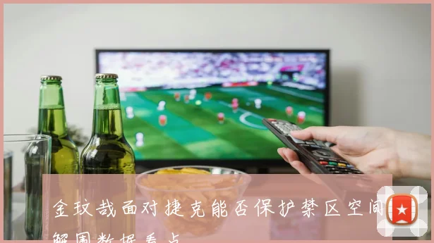 金玟哉面对捷克能否保护禁区空间解围数据看点