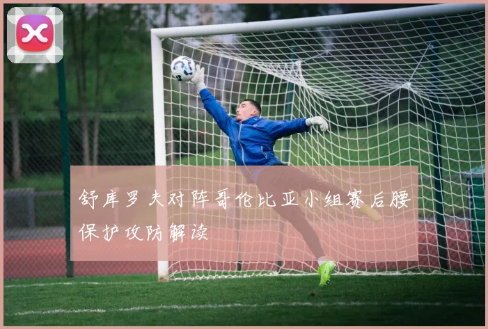 舒库罗夫对阵哥伦比亚小组赛后腰保护攻防解读
