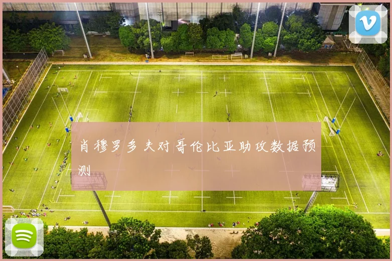 肖穆罗多夫对哥伦比亚助攻数据预测