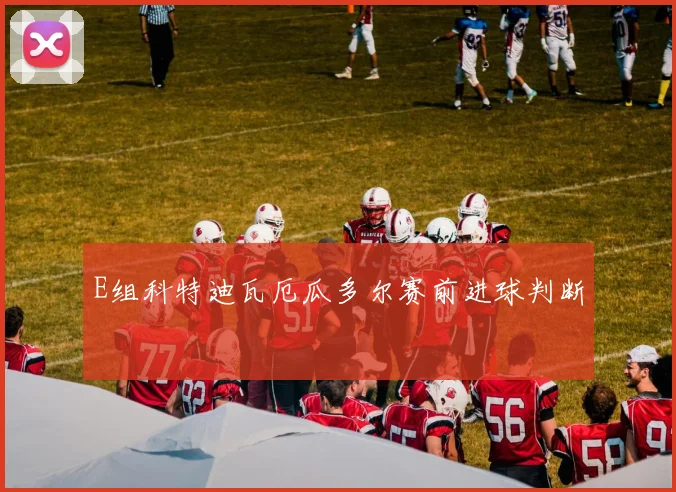 E组科特迪瓦厄瓜多尔赛前进球判断
