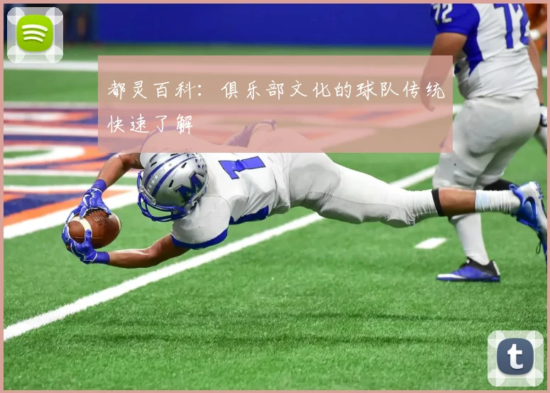 都灵百科:俱乐部文化的球队传统快速了解