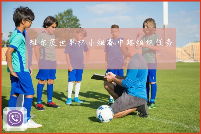 维尔茨世界杯小组赛中路组织任务