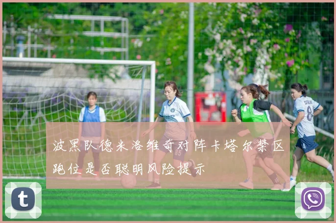 波黑队德米洛维奇对阵卡塔尔禁区跑位是否聪明风险提示