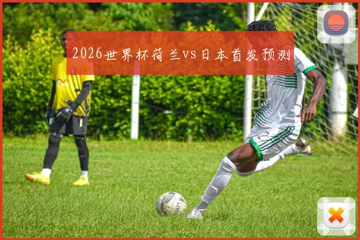 2026世界杯荷兰vs日本首发预测
