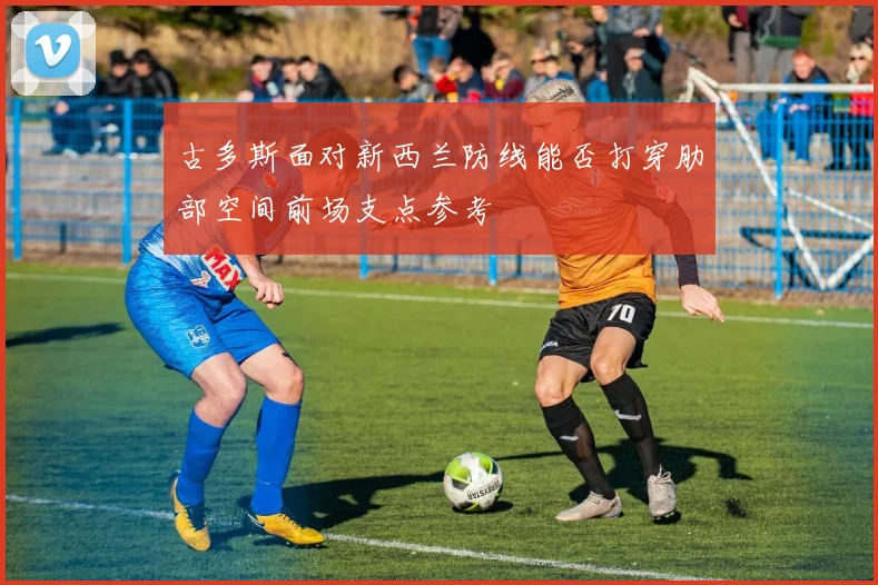 古多斯面对新西兰防线能否打穿肋部空间前场支点参考