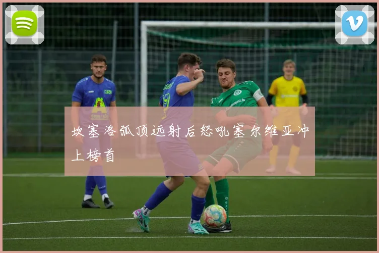 坎塞洛弧顶远射后怒吼塞尔维亚冲上榜首