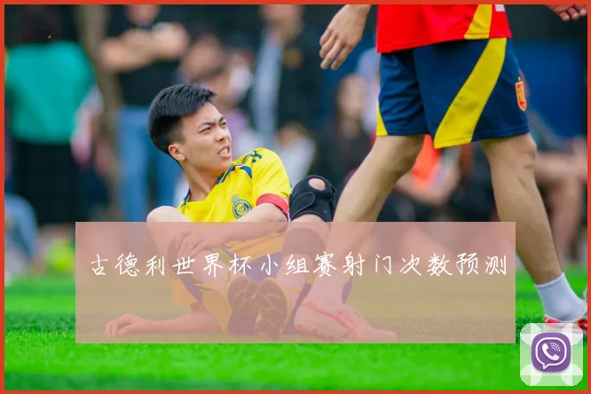 古德利世界杯小组赛射门次数预测