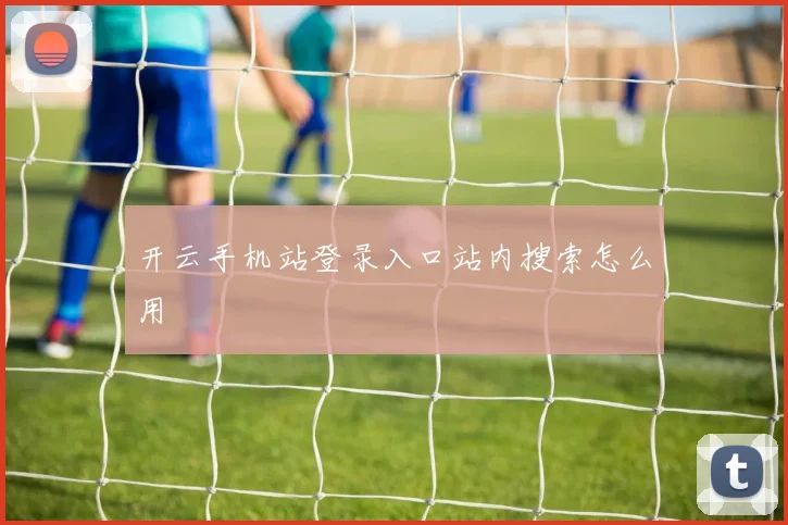 开云手机站登录入口站内搜索怎么用
